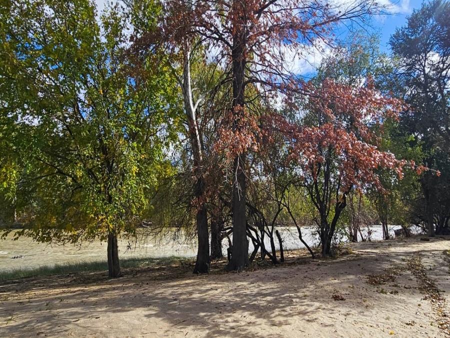 10 Bedroom Property for Sale in Parys Free State